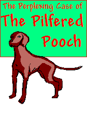 Dog Preteen Kids Mystery Party Kit